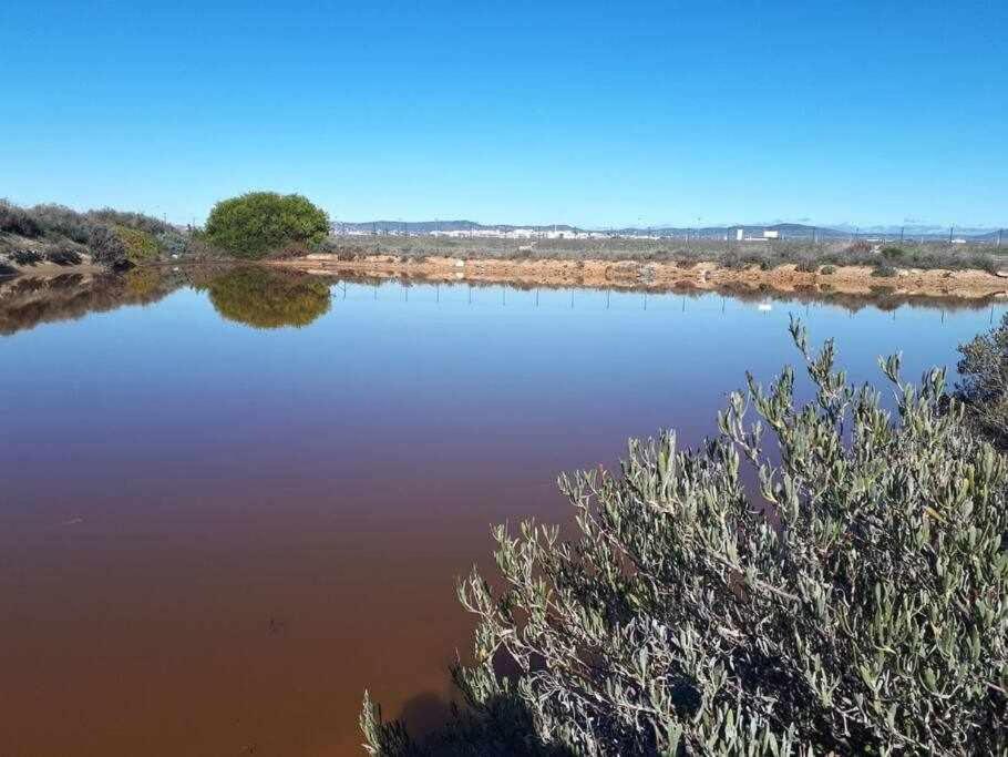Ria Formosa Pineview Villa Фаро Екстериор снимка