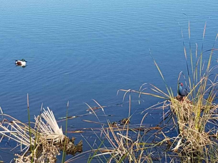 Ria Formosa Pineview Villa Фаро Екстериор снимка